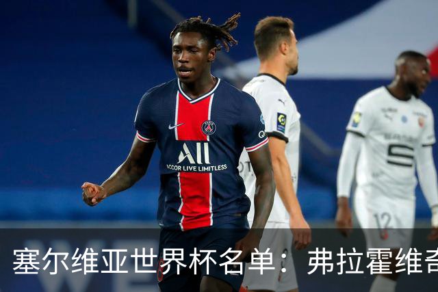 塞尔维亚世界杯名单：弗拉霍维奇领衔 古德利在列