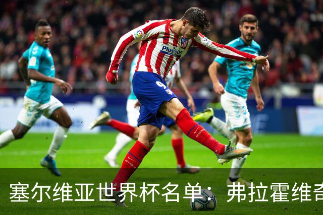 塞尔维亚世界杯名单：弗拉霍维奇领衔 古德利在列